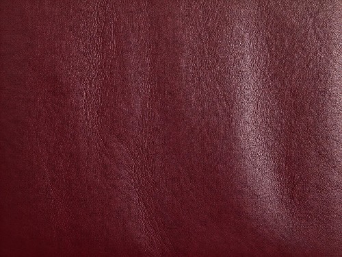 Bordeaux Wine