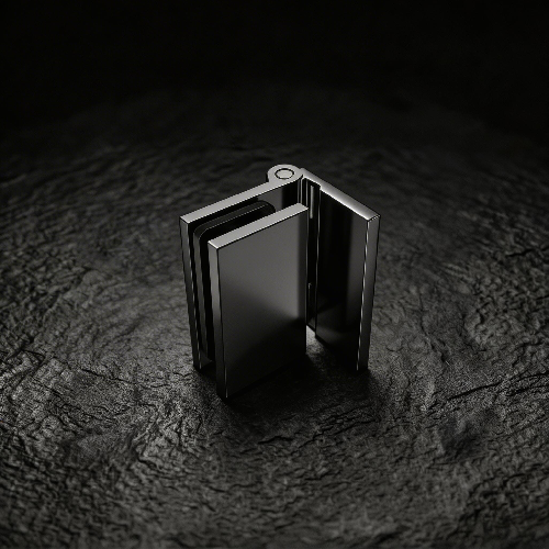 Brass Glass-to-Wall Hinge