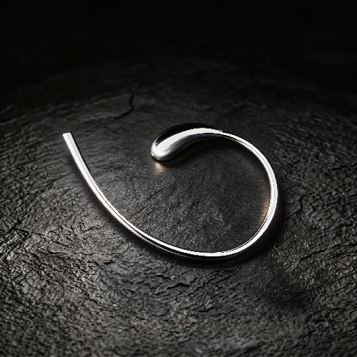 Solid Brass Streamlined Curved Towel Ring