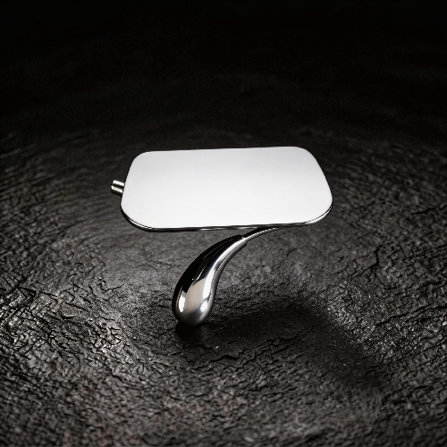 Luxury Curved Toilet Paper Holder